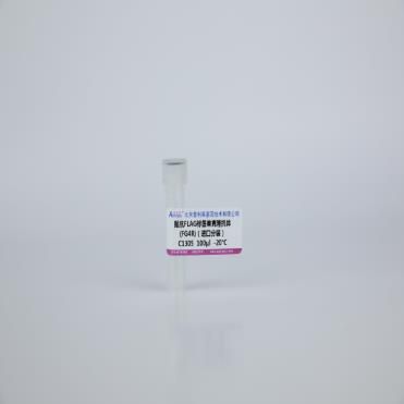 鼠抗FLAG标签单克隆抗体(FG4R)（进口分装）
