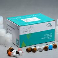 ATP酶测试盒(组织及细胞膜需高速离心)