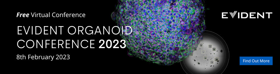 EVIDENT第二届全球3D类器官成像分析研讨会 2月8日诚邀您参加！