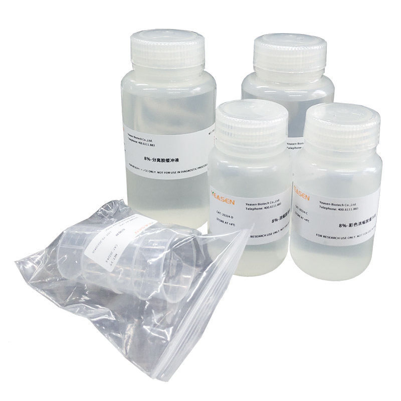 PAGE凝胶快速制备试剂盒（10%）PAGE Gel Qui