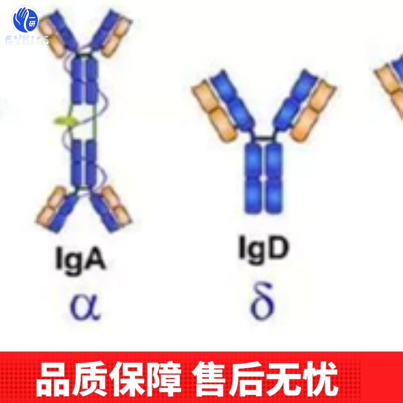 产品封面图