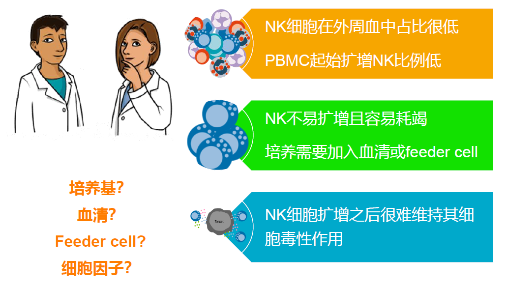 开始比拼免疫力 | NK细胞体外培养