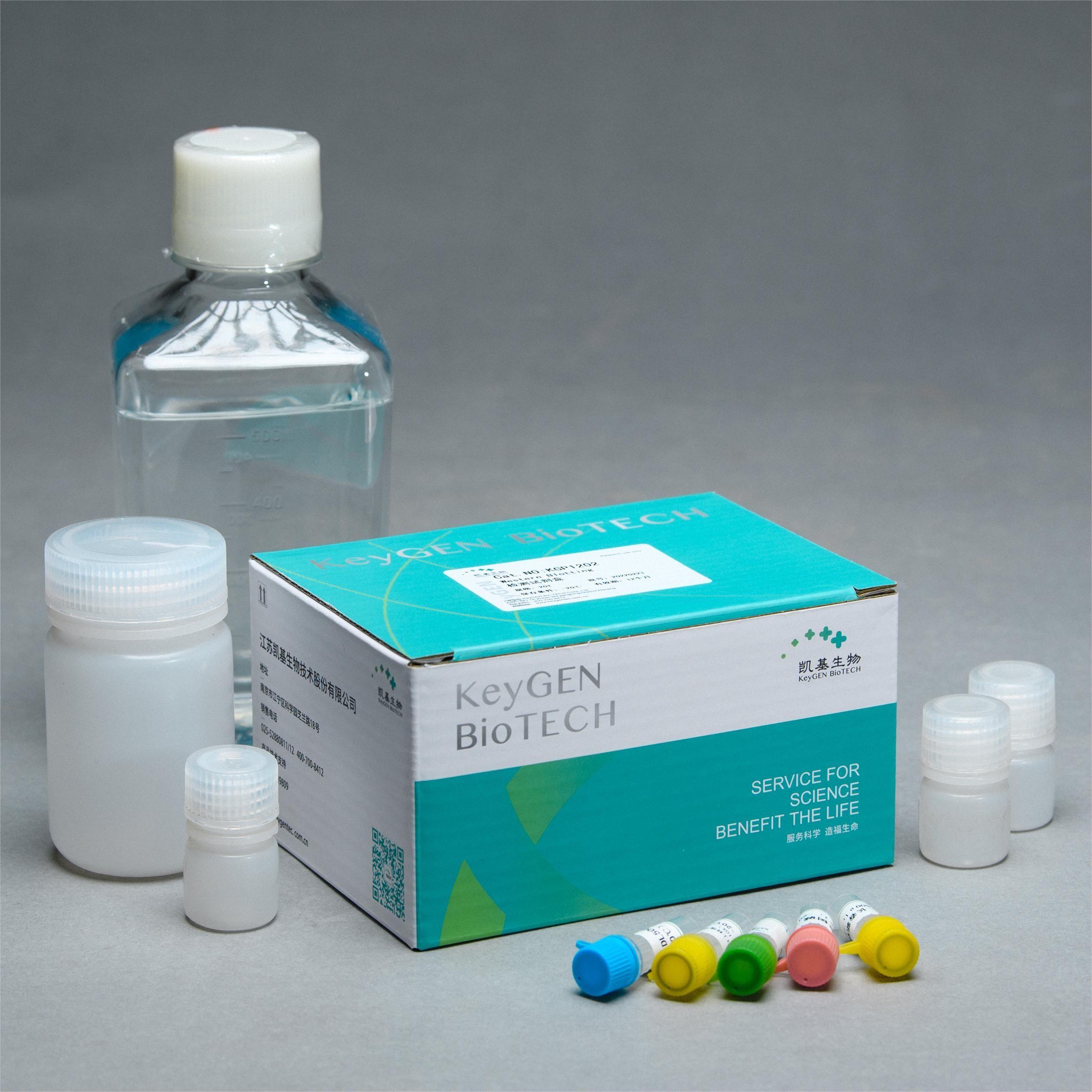 WB检测试剂盒（选配二抗、PVDF膜及相关缓冲液、ECL试剂）