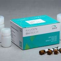 总巯基（-SH）测试盒