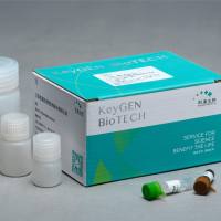 FITC-Brdu细胞增殖检测试剂盒(ICF/FACS法)