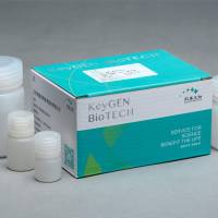 过氧化氢酶（CAT）测试盒 （可见光比色法）