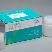 线粒体提取试剂盒