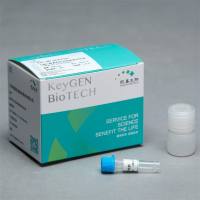 TUNEL检测阳性对照制备试剂盒(可配套TUNEL系列试剂盒使用)