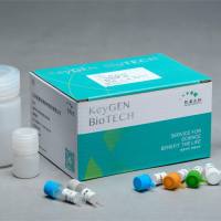 一氧.化氮合成酶（NOS）测试盒[ 同时测（T－NOS、iNOS、cNOS）三型]