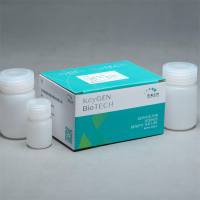 过氧化氢（H2O2）测试盒