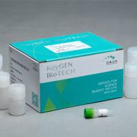 高纯质粒小提试剂盒