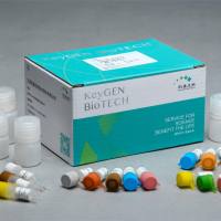 超微量ATP酶测试盒(测Na+K-ATPase)