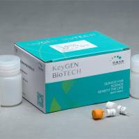 乳酸（LD）测试盒（测全血）