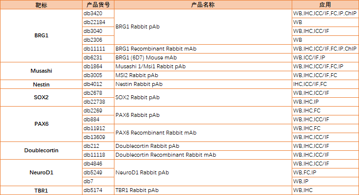 长新冠对神经和认知系统影响