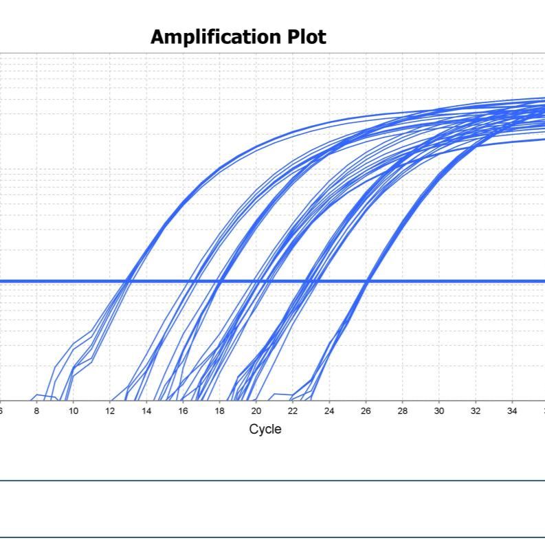 Real-time Quantitative PCR（qPCR）