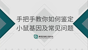 丁香实验推荐阅读