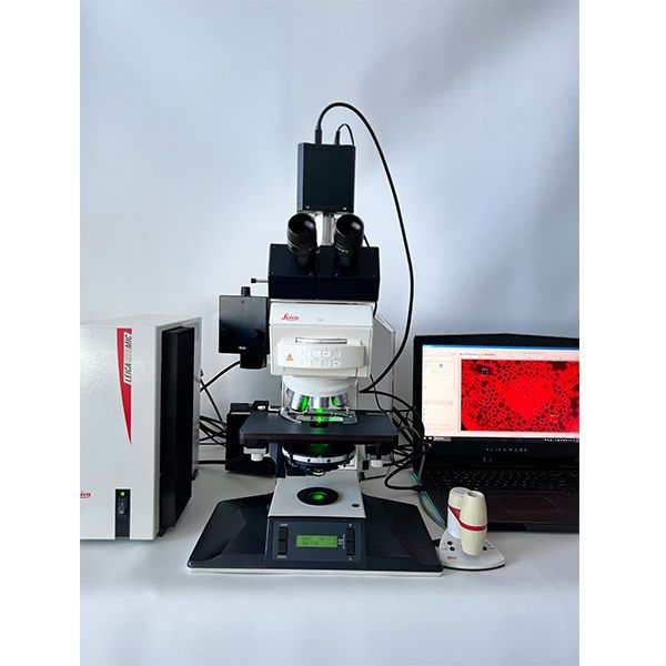 二手徕卡/Leica DMRXA2正置三色荧光显微镜