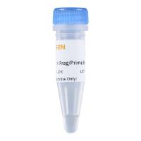 2 × Frag/Prime Buffer