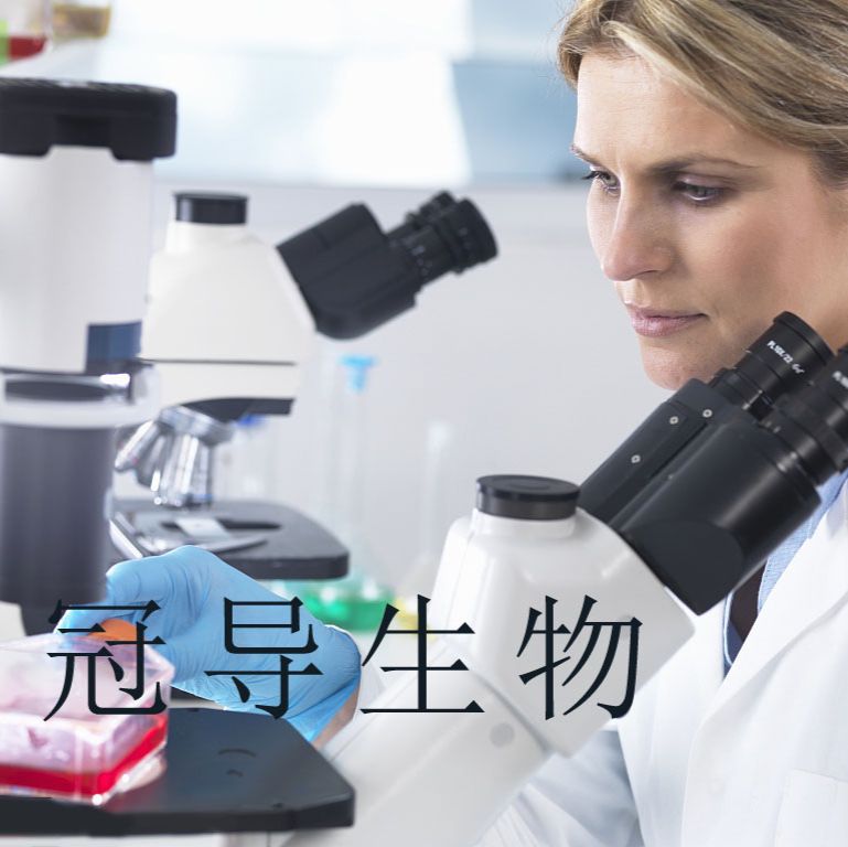 MKN-7;人胃癌细胞实验室直销