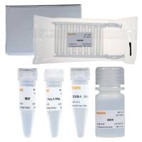 MolPure® Mag32磁珠法残留DNA样本前处理试剂盒FA（预封装）  