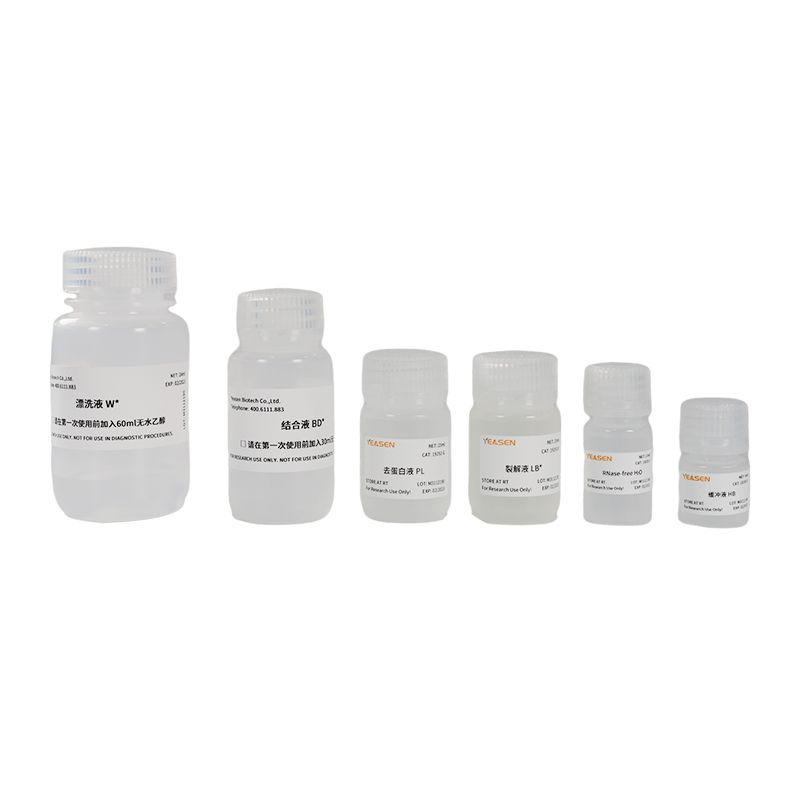 多糖多酚植物RNA提取试剂盒 MolPure® Plant Plus RNA Kit [可申请试用]