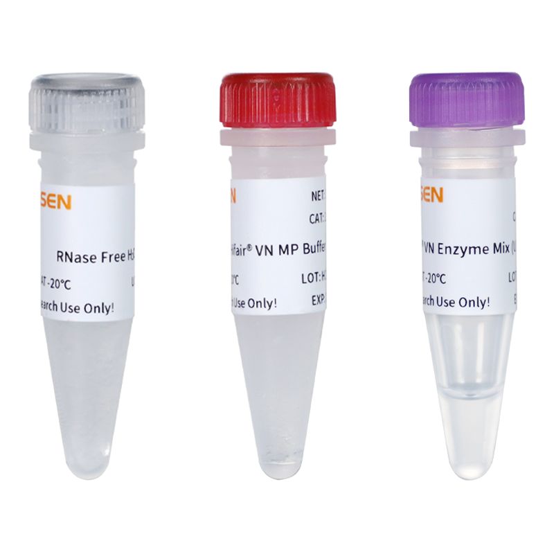 Hieff Unicon® V 多重定量PCR试剂盒(RT-qPCR)(含UDG酶)