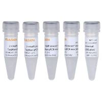 Hieff Unicon® 多重荧光定量PCR反应预混液