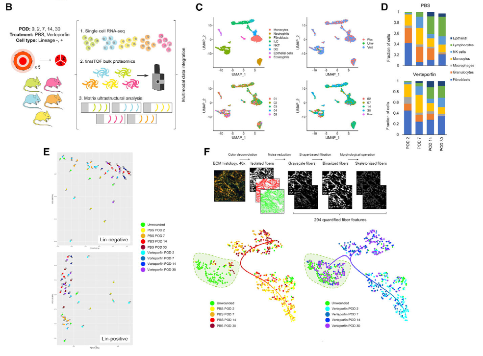 timsTOF Pro 质谱助力微量样本进行4D蛋白质组学研究