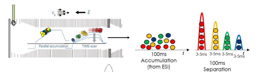 timsTOF Pro 质谱助力微量样本进行4D蛋白质组学研究