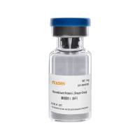 重组蛋白L(冻干粉) Recombinant Protein L