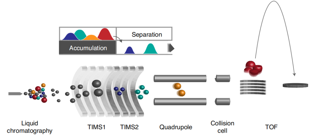 timsTOF Pro 质谱助力微量样本进行4D蛋白质组学研究
