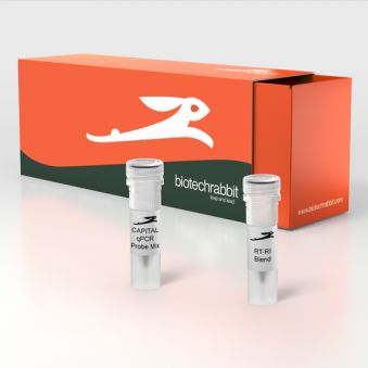 Biotechrabbit 4X CAPITAL™ 1-Step qRT-PCR Probe Master Mix BR0502002