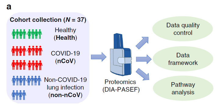 timsTOF Pro 质谱助力微量样本进行4D蛋白质组学研究