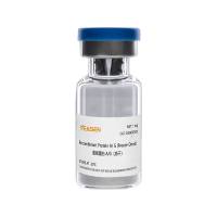重组蛋白A/G(冻干粉) Recombinant Protein A/G