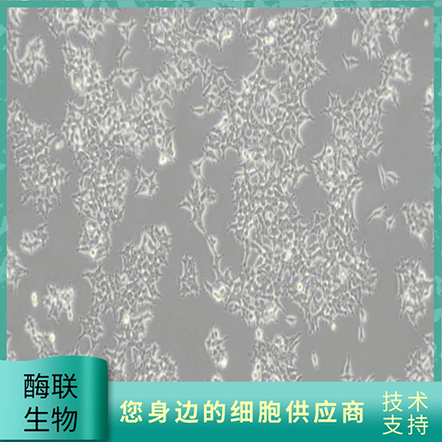 产品细节图片2