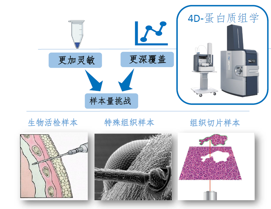 timsTOF Pro 质谱助力微量样本进行4D蛋白质组学研究