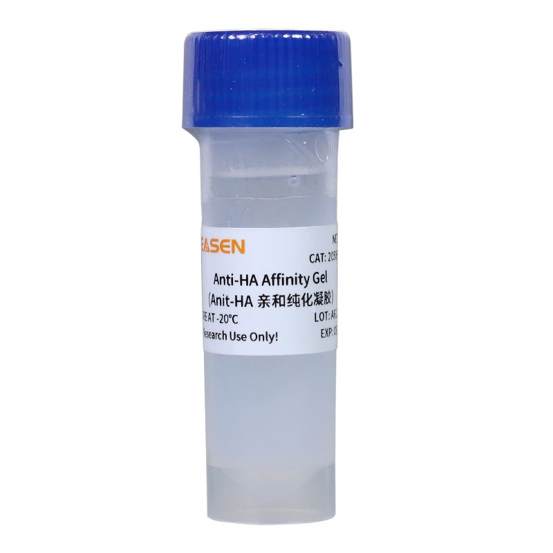 Anti-HA亲和纯化凝胶(Anti-HA Affinity Gel)