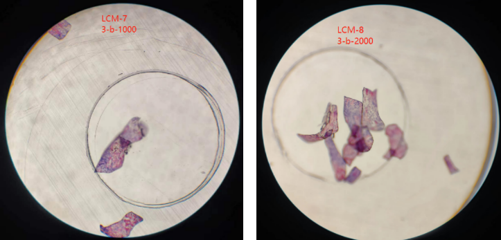 timsTOF Pro 质谱助力微量样本进行4D蛋白质组学研究