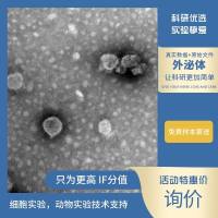 外泌体电镜,NTA,机制研究