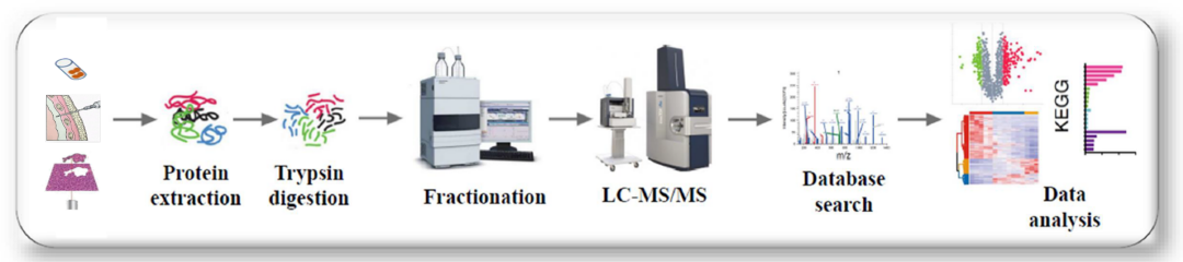 timsTOF Pro 质谱助力微量样本进行4D蛋白质组学研究