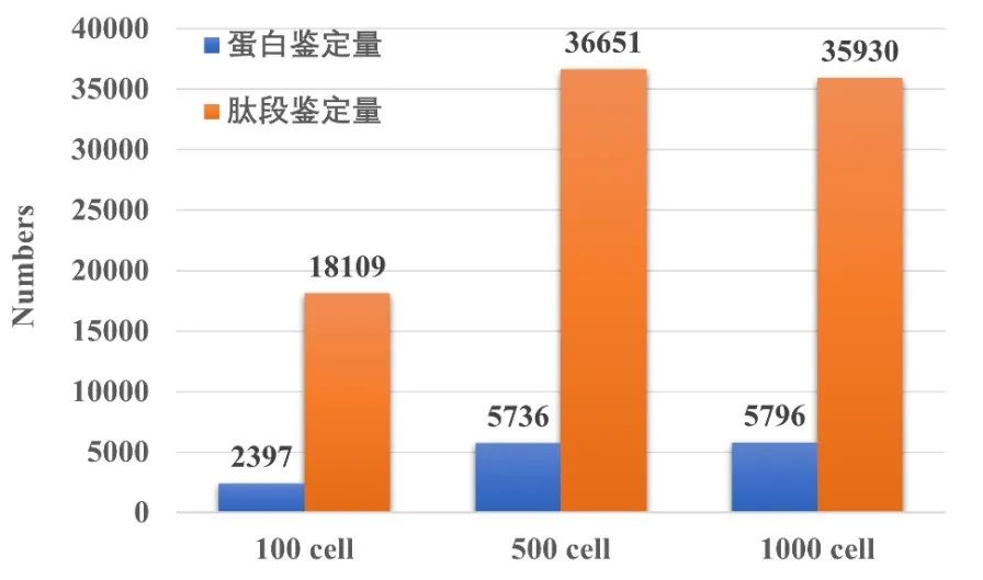 timsTOF Pro 质谱助力微量样本进行4D蛋白质组学研究