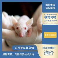 动物实验/动物模型构建服务/整体课题，国自然，省自然