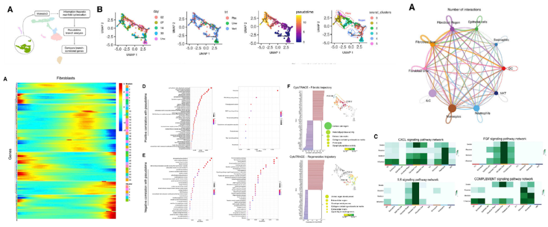 timsTOF Pro 质谱助力微量样本进行4D蛋白质组学研究