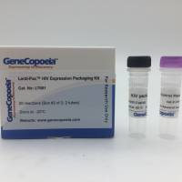 慢病毒包装试剂盒（HIV）