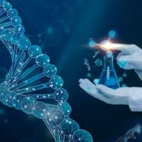 全基因组甲基化测序