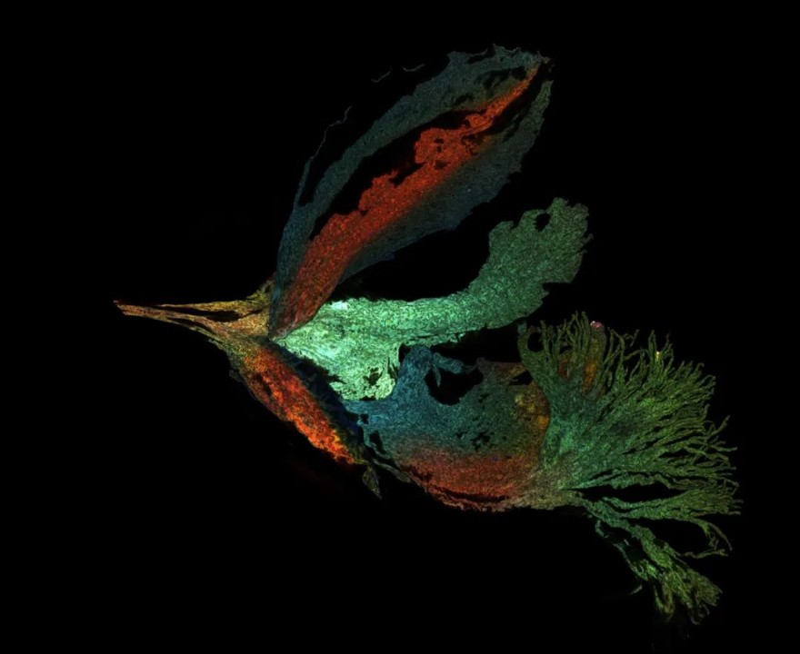 探索未知 | 自然之美 超越所见