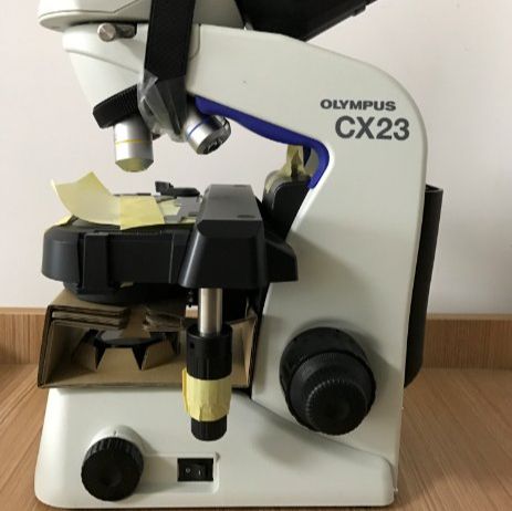 奥林巴斯OLYMPUS显微镜 CX23 