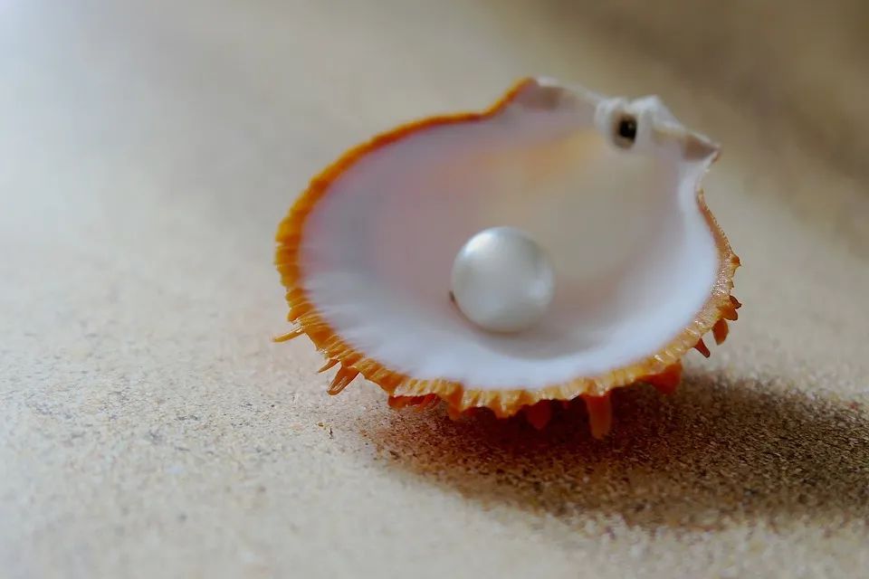认识卵巢早衰：是什么让我们体内的「珍珠」失去光彩？