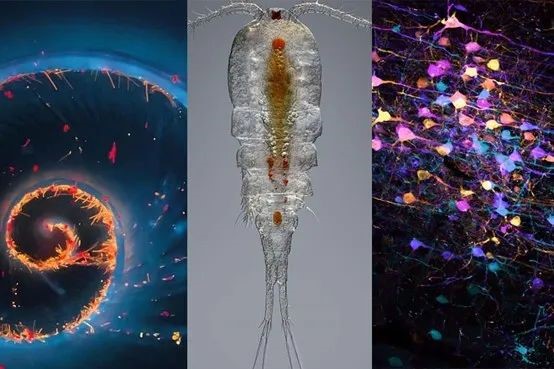 探索未知 | 自然之美 超越所见