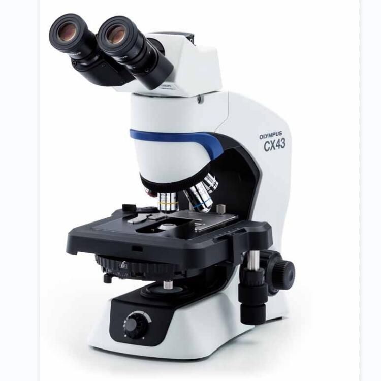 奥林巴斯显微镜全部型号 BX43